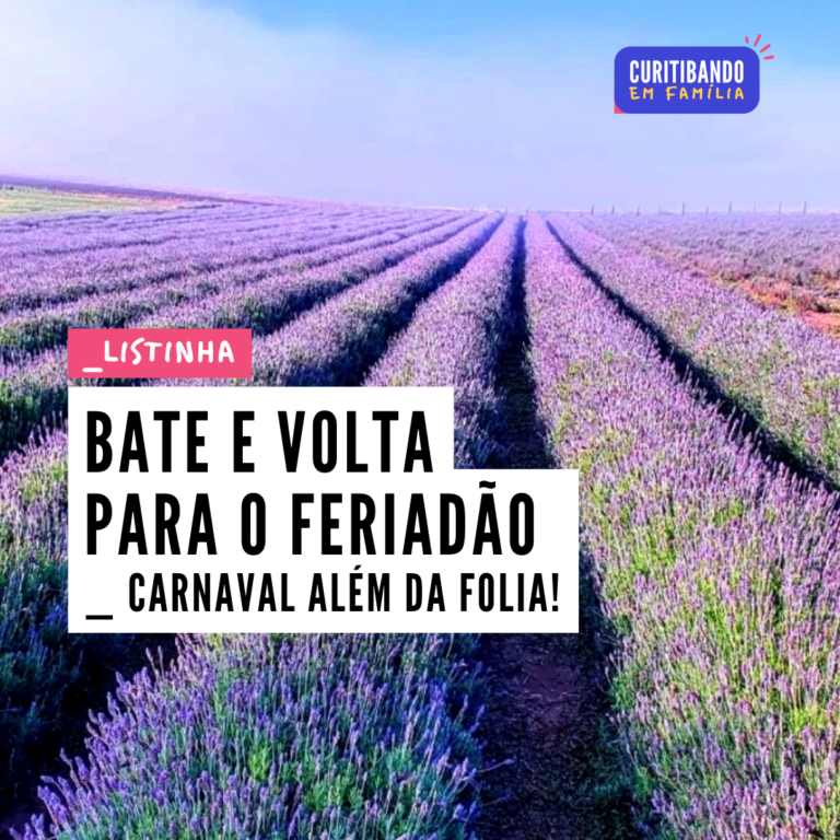 bate e volta curitiba feriado